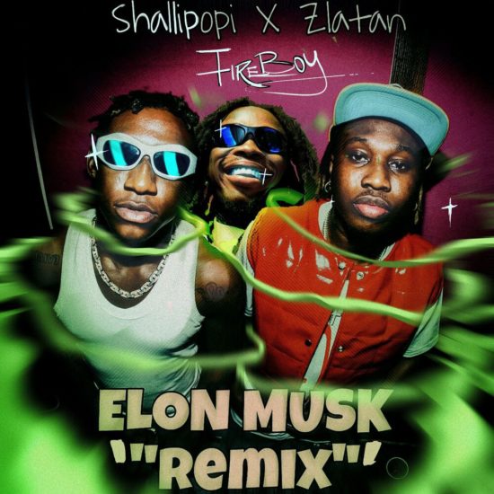 Shallipopi – Elon Musk (Remix) ft. Zlatan & Fireboy DML