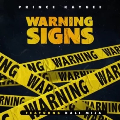 Prince Kaybee – Warning Signs ft Kali Mija